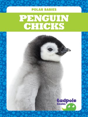 cover image of Penguin Chicks